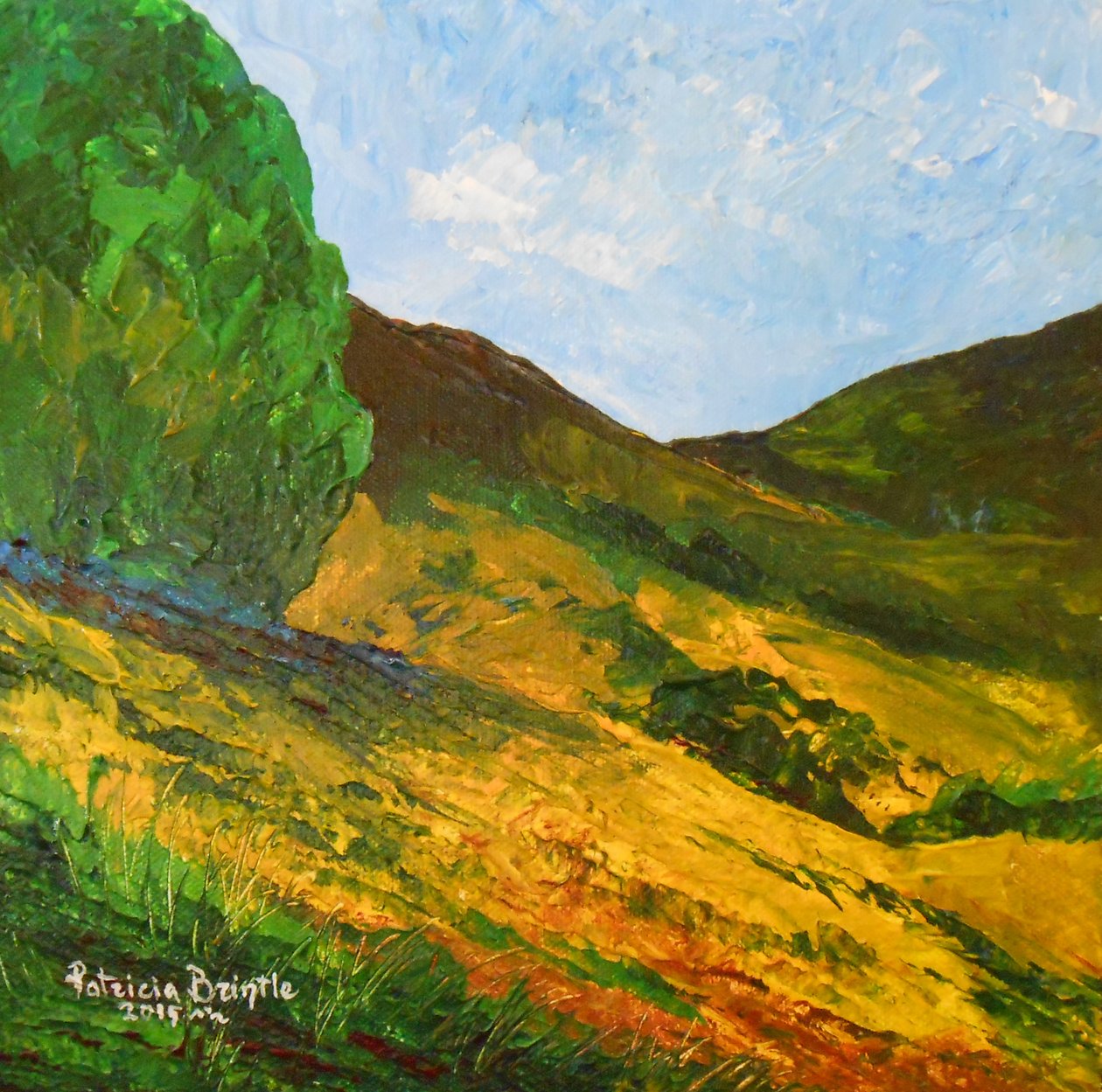 Morne La Selle，2015（画布上的丙烯酸） 作者 帕特里夏·布林特（Patricia Brintle）