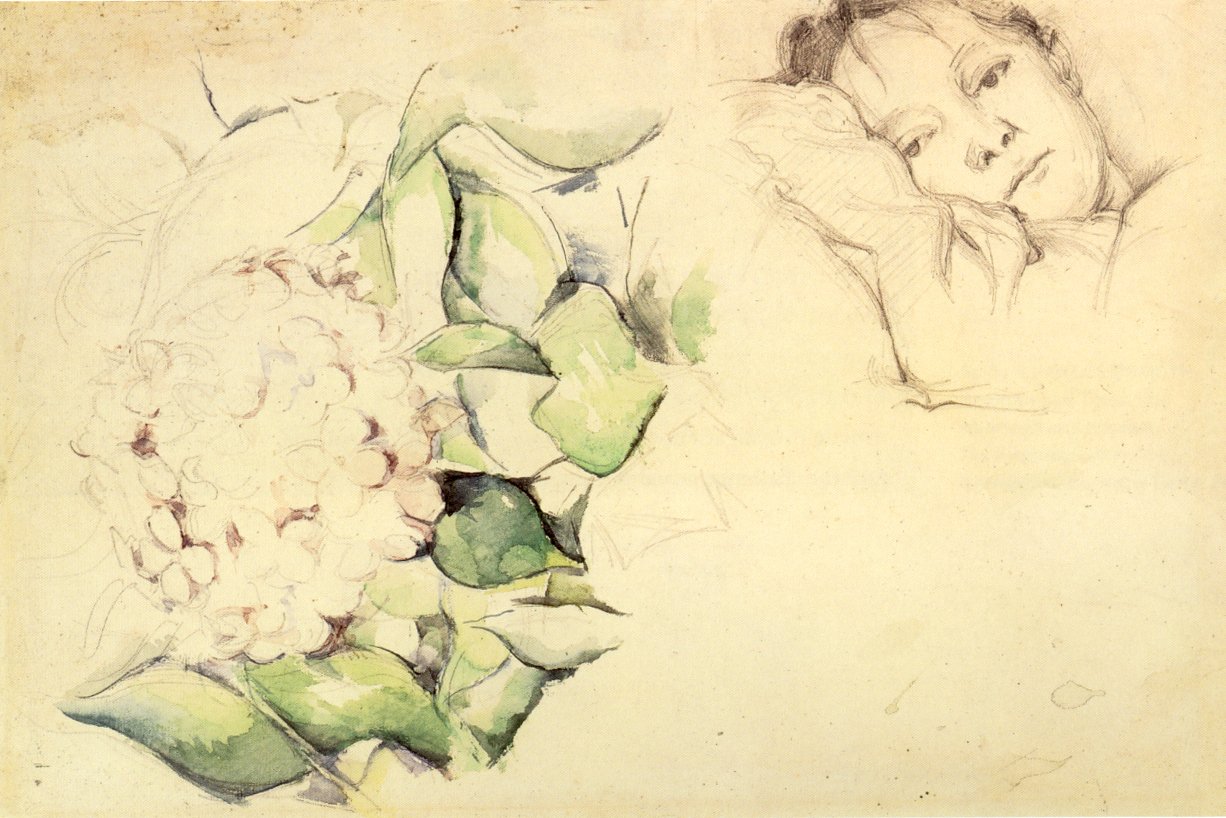 Cézanne夫人与绣球花 作者 保罗·塞尚
