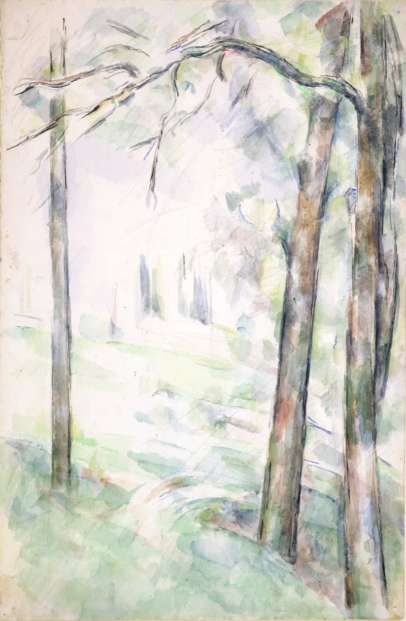 PD.6-1966r The Woods，Aix-en-Provence，c.1890（wc and chalk） 作者 保罗·塞尚