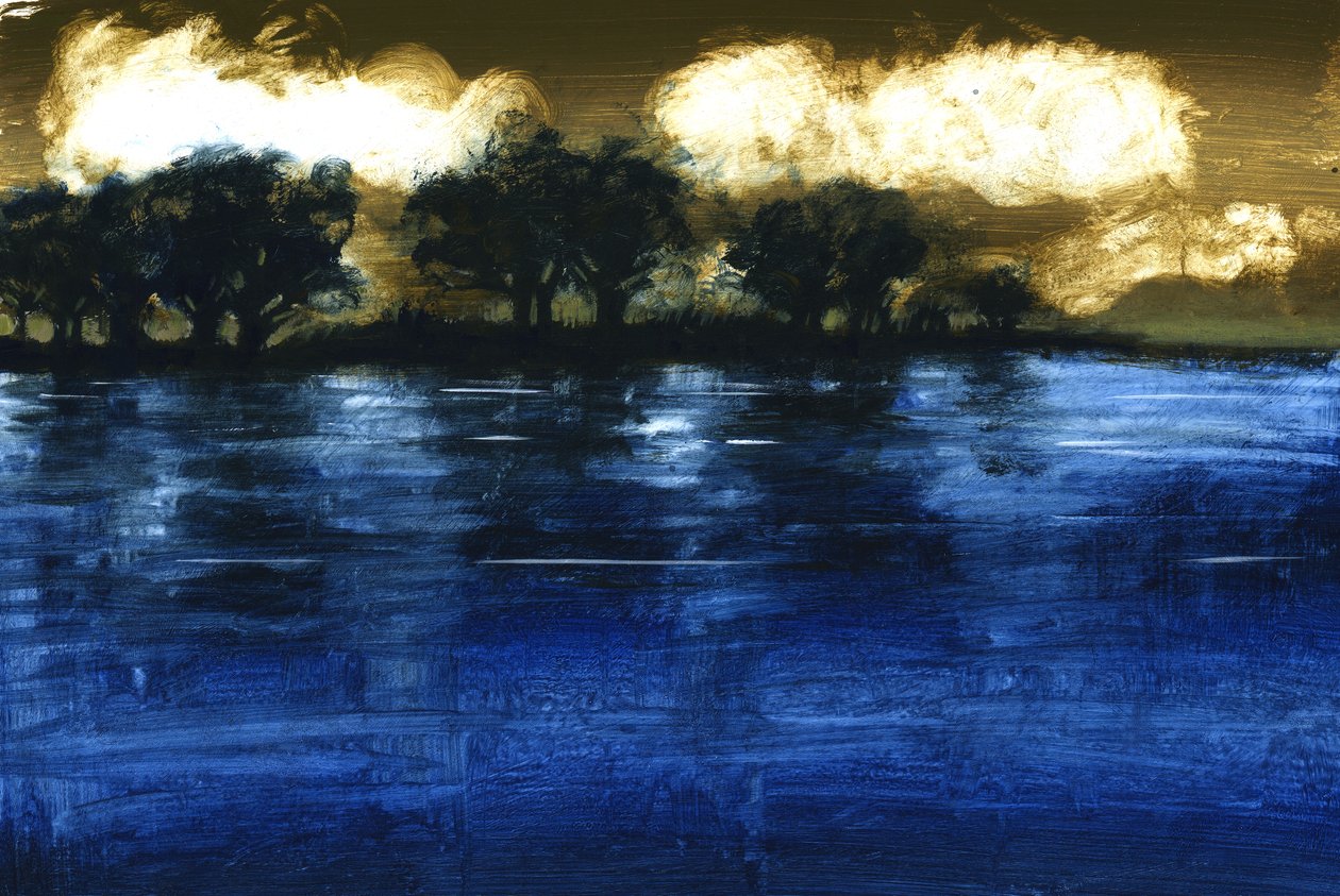 洪水，2009年（丙烯酸船上） 作者 保罗·鲍伊斯