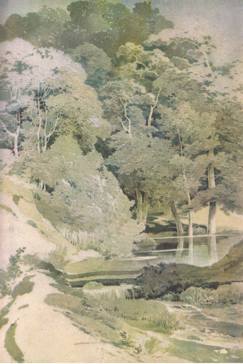 1946年柯林斯出版的温莎森林中的古代山毛榉，英国自然 作者 保罗·桑德比