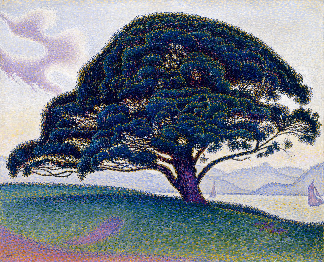 Bonaventure Pine，1893 作者 保罗·西尼亚克
