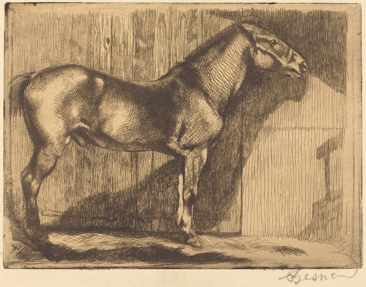 Pony Le poney, 1892年。 作者 保罗·阿尔伯特·贝斯纳德