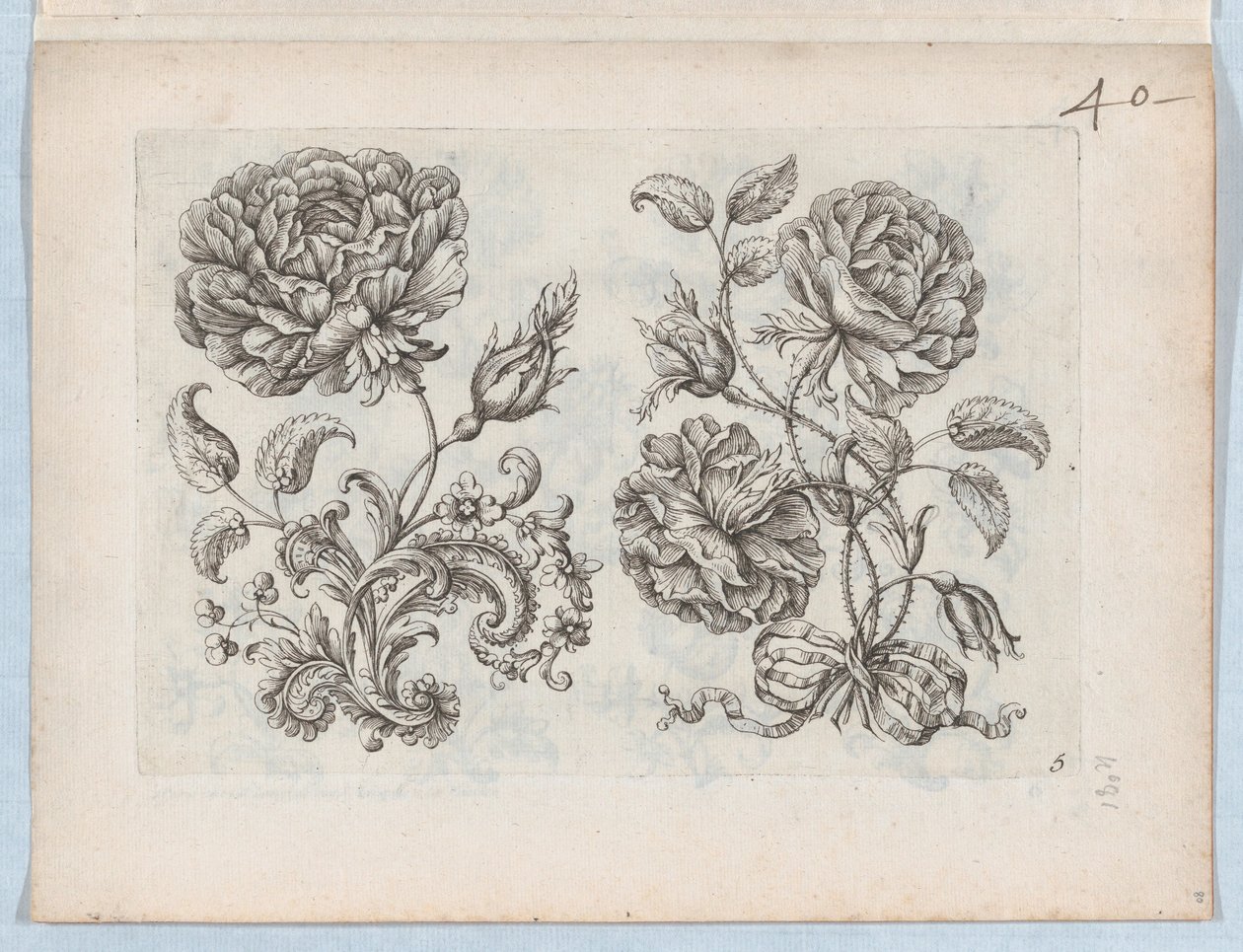小花图案系列，板块5，约1670-85.，约1670-85. 作者 保罗·安德鲁埃·杜塞尔索