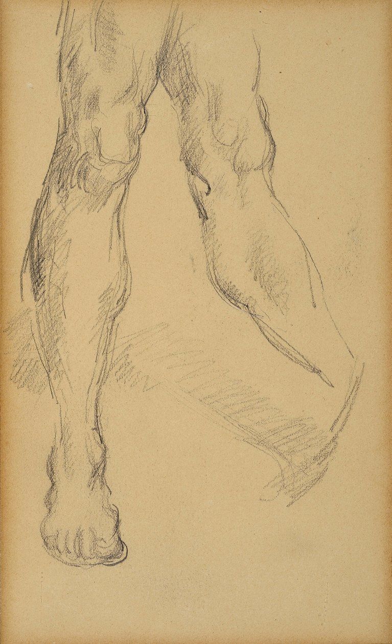 腿研究。 保罗·塞尚 (1839-1906) 的绘画。 纸上的铅。 尺寸：19.4x11.8cm。 格拉内博物馆，普罗旺斯地区艾克斯。 作者 保罗·塞尚