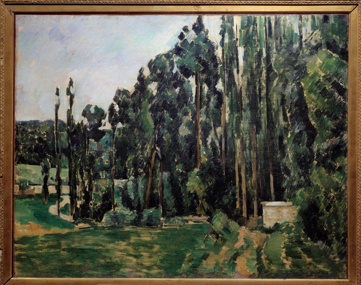 Les poplars 绘画保罗·塞尚 (1839-1906) 1879 年 0,65x0,81 m 巴黎，奥赛博物馆 作者 保罗·塞尚