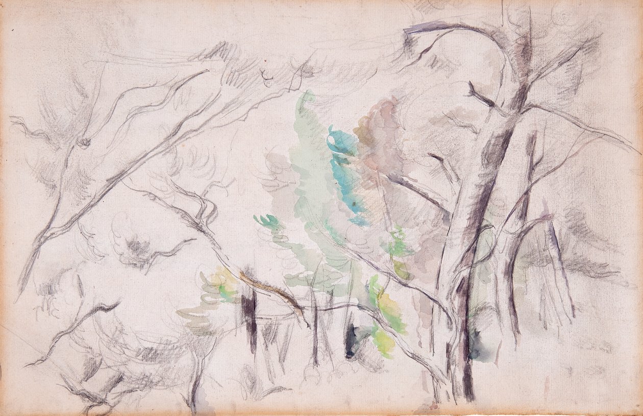树木（Arbres）[直面]；恩卡尼亚纳与国王之杵（Encagnane and the Pilon du Roi）[背面]。 作者 保罗·塞尚