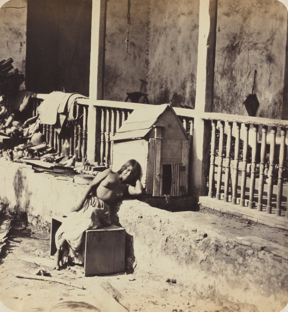 马提尼克岛的加维尔狗，1870年代。 作者 保罗·埃米尔·米奥特