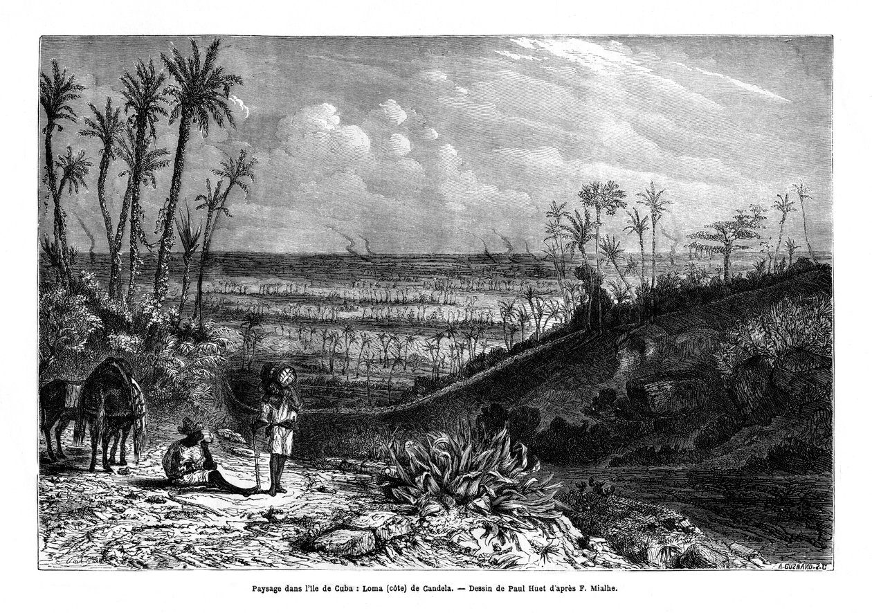 1859年在古巴岛上的风景 作者 保罗·休特