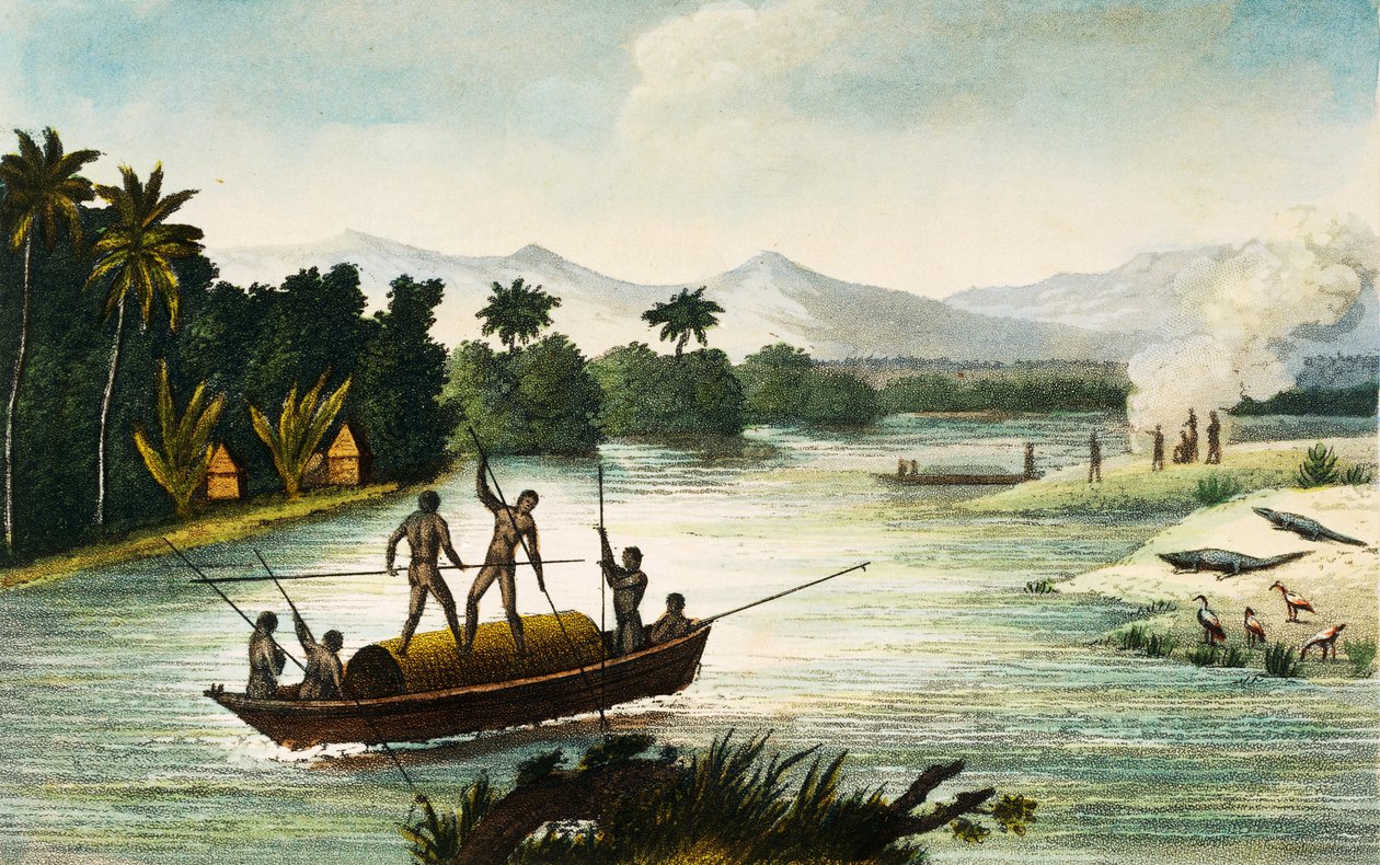 哥伦比亚马格达莱纳河，由 Paul Legrand 雕刻，出自《1822 年和 1823 年哥伦比亚共和国游记》，作者：Gaspard Theodore Mollien（1796-1872 年），南美洲 作者 保罗·勒格朗