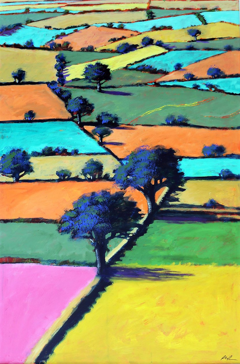 Burcome (acrylic on board) 作者 保罗·鲍伊斯