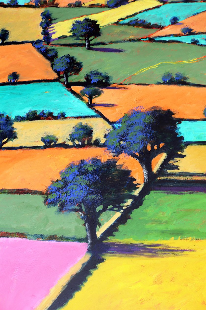 Burcome (acrylic on board) 作者 保罗·鲍伊斯