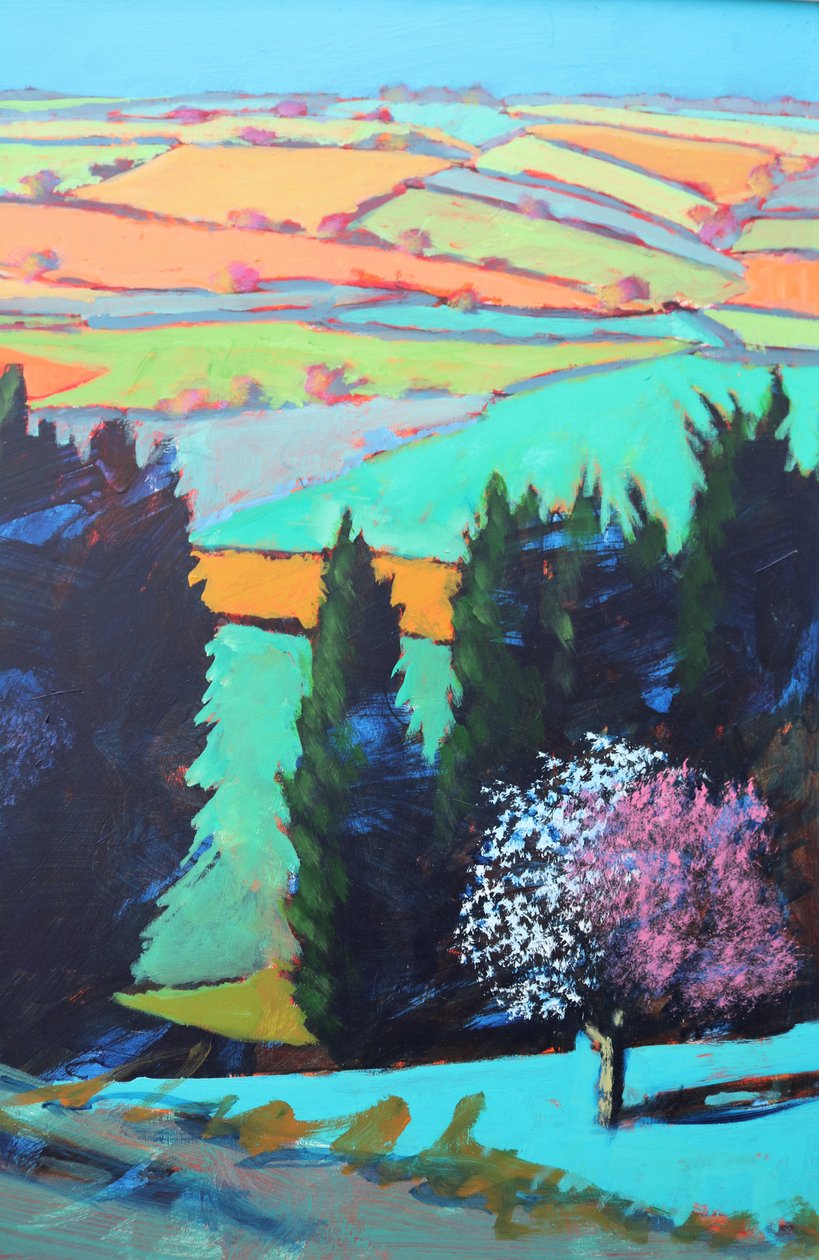 Teme Valley blossom close up (acrylic on board) 作者 保罗·鲍伊斯