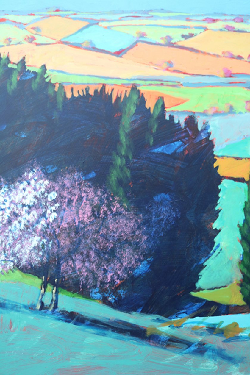 Teme Valley blossom close up 1 (acrylic on board) 作者 保罗·鲍伊斯