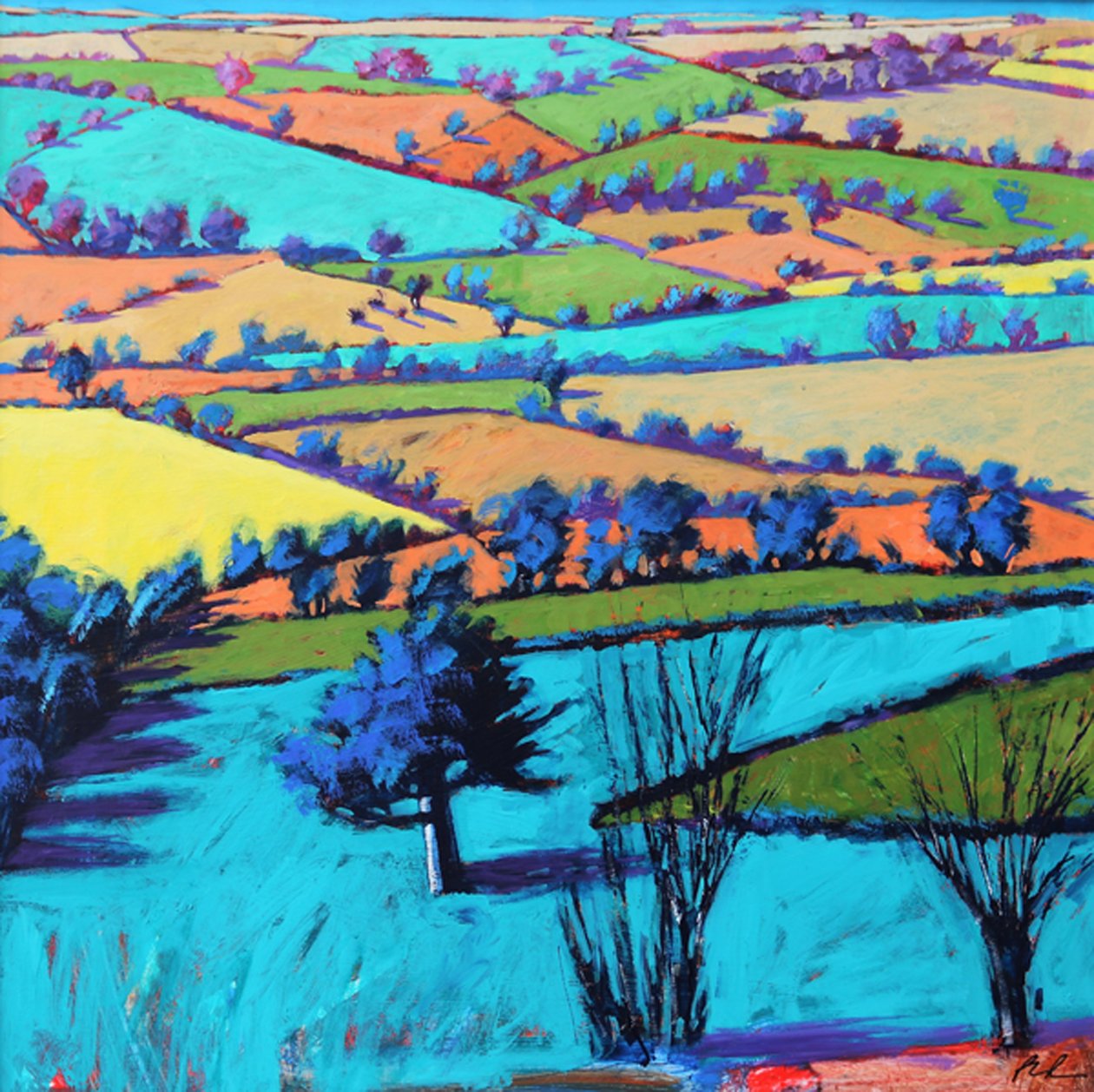 Teme Valley summer II (acrylic on board) 作者 保罗·鲍伊斯