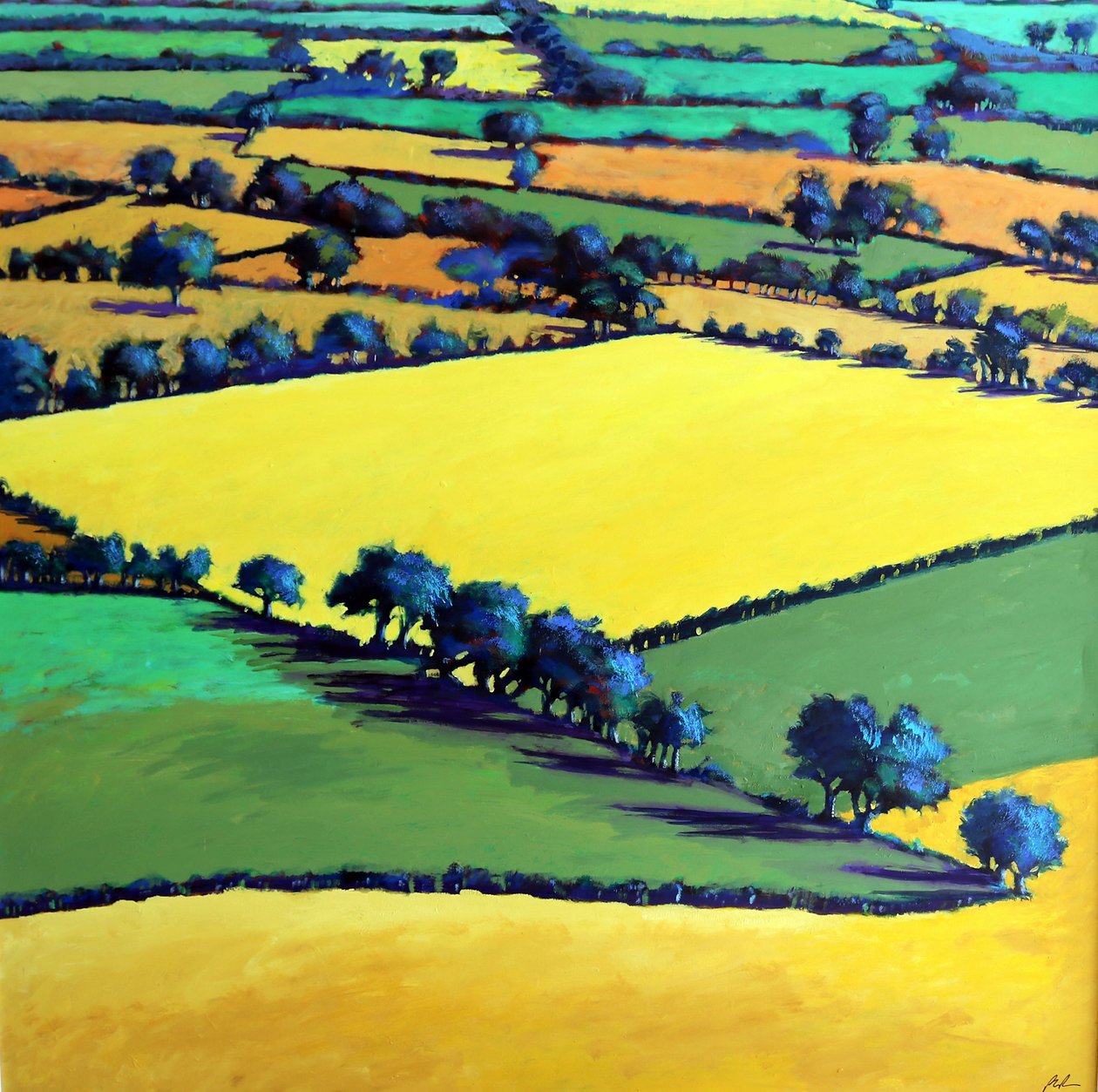Whiteleaved oak (acrylic on board) 作者 保罗·鲍伊斯