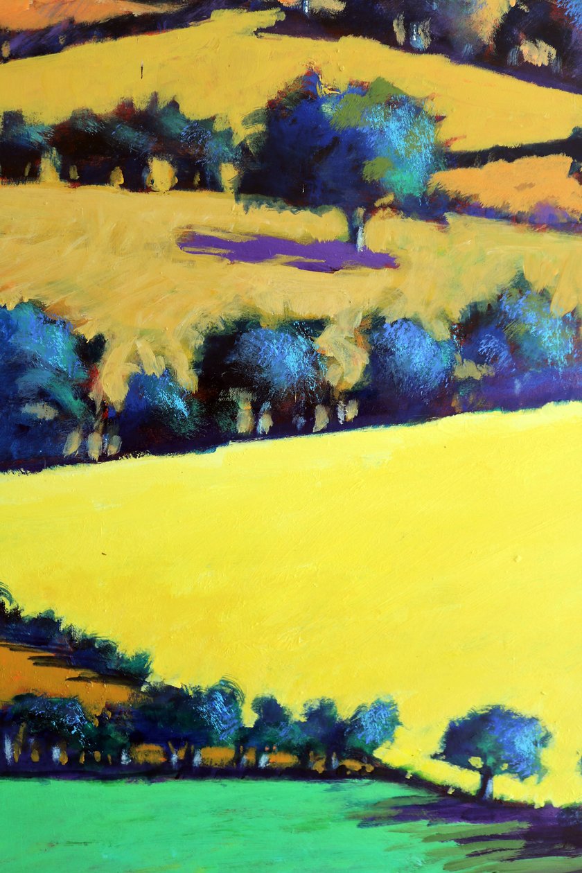 Whiteleaved oak close up 3 (acrylic on board) 作者 保罗·鲍伊斯