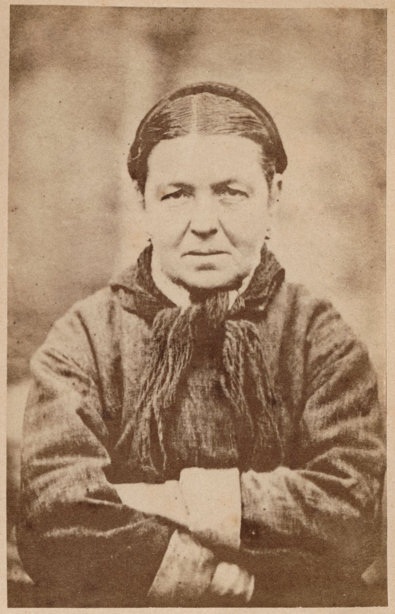 歇斯底里的癫痫症，来自Bourneville的“摄影图像的La Salpetriere”和巴黎的P. Regnard，1876年（蛋白印刷品） 作者 保罗·雷纳德