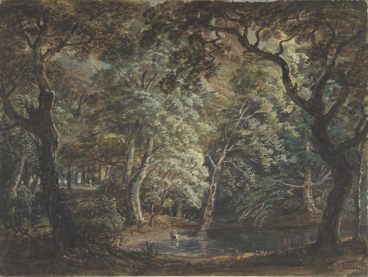温莎大公园，1790-99。 作者 保罗·桑德比
