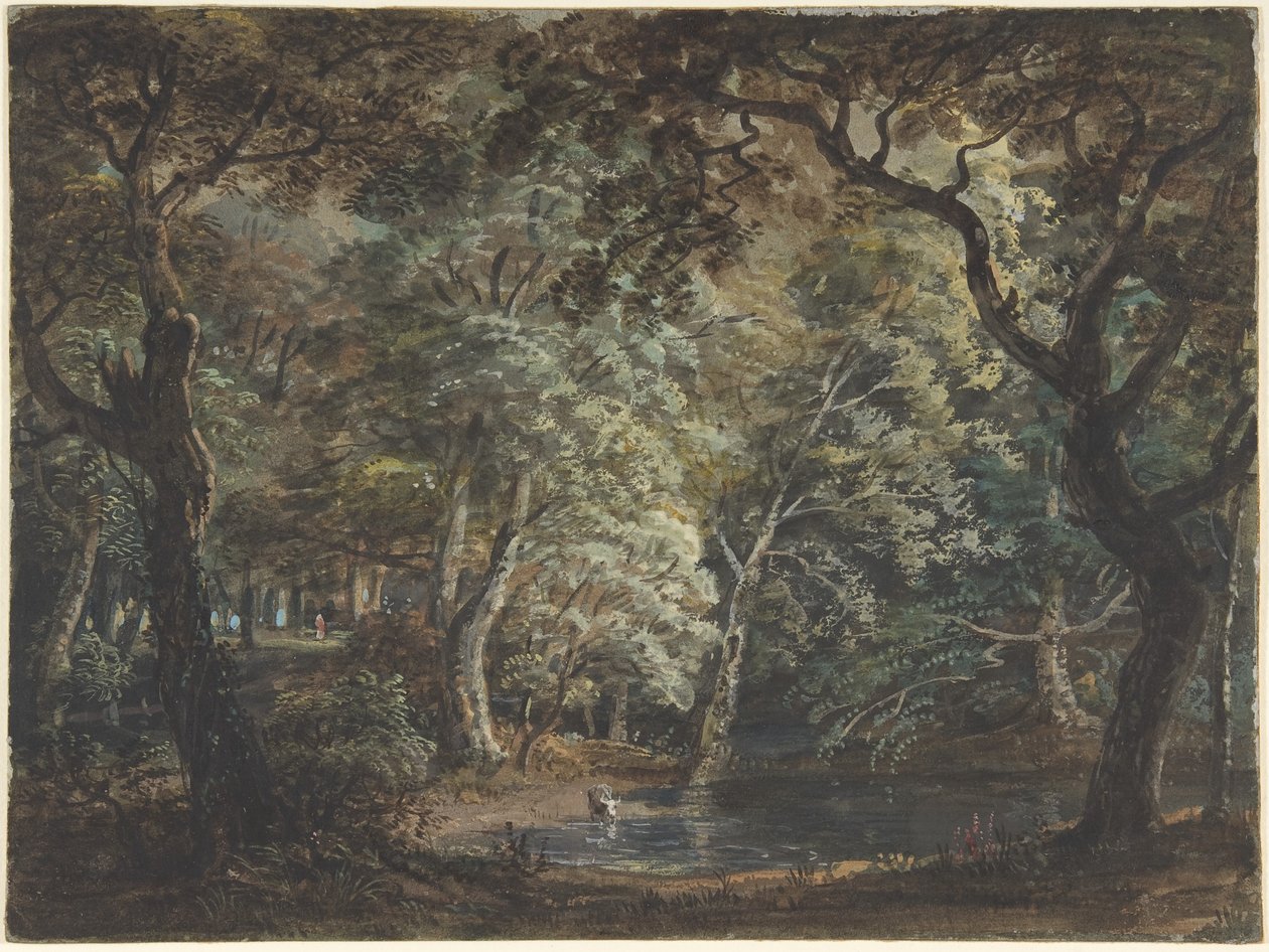 温莎大公园，约 1790-99 年（水彩画） 作者 保罗·桑德比