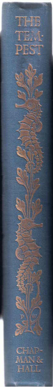 脊柱设计，插图来自暴风雨，1908年 作者 保罗·文森特·伍德罗夫