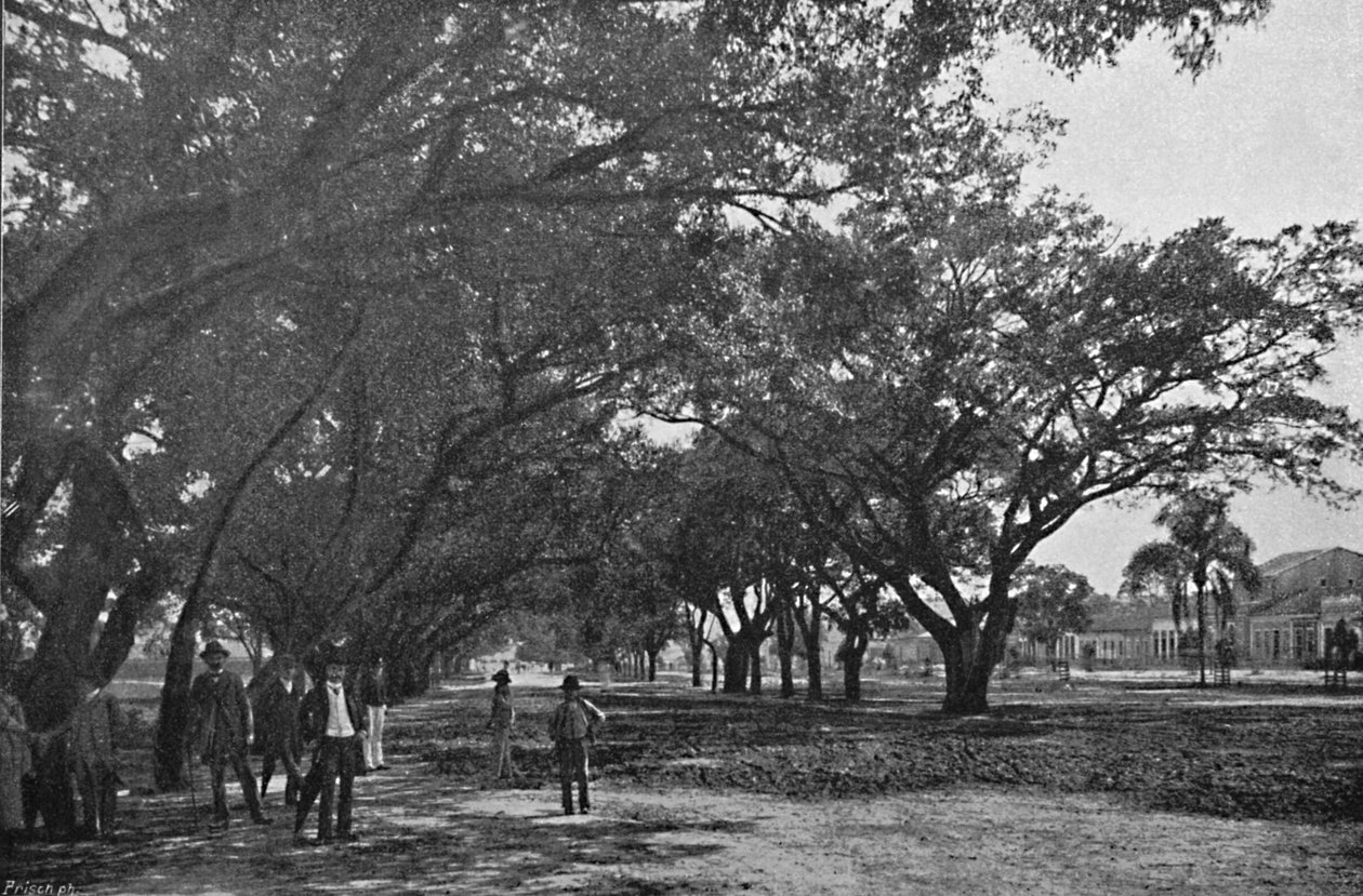 蒂拉登特斯大道，1895年 作者 保罗·科瓦尔斯基