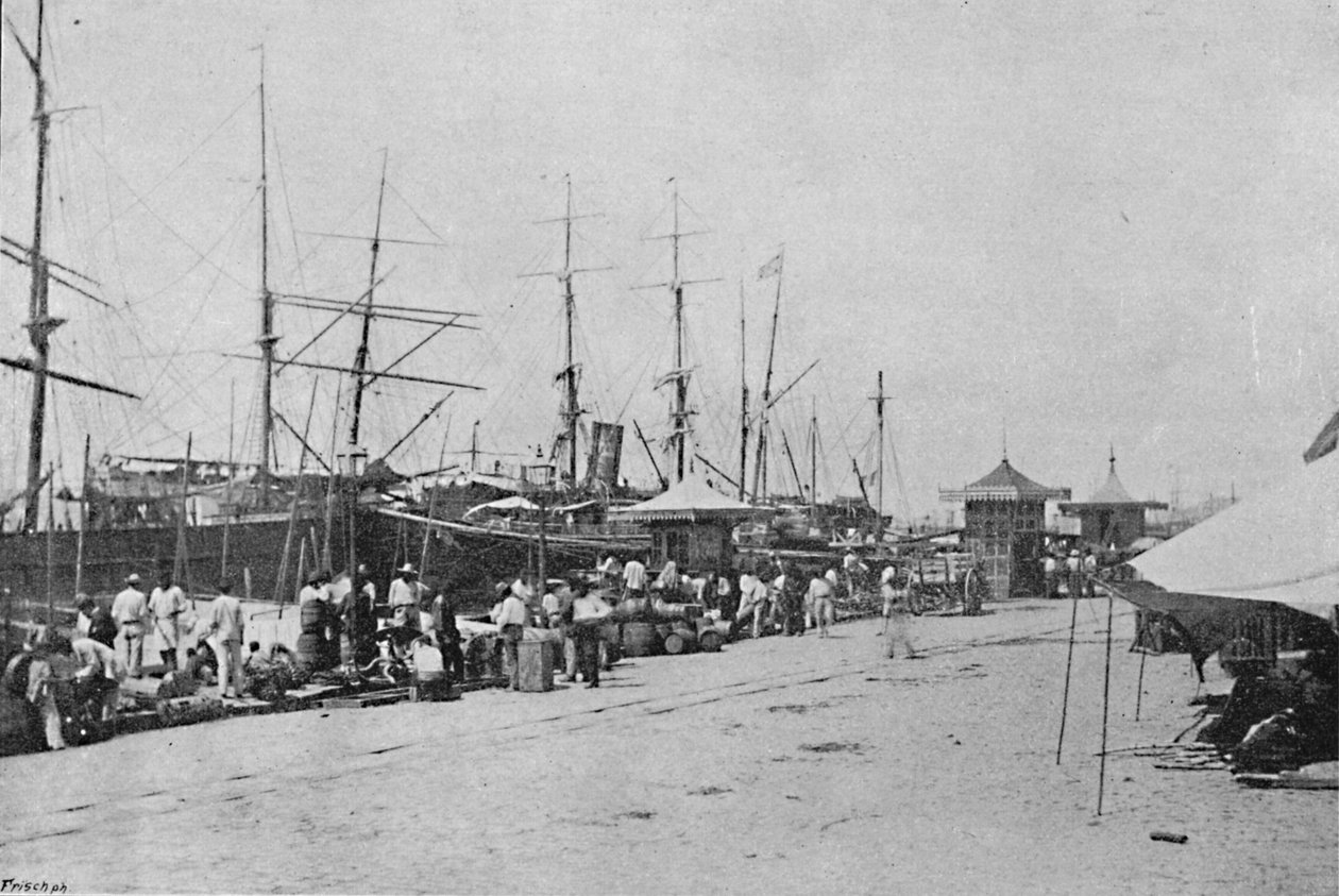 桑托斯哪个区，桑托斯码头，1895年 作者 保罗·科瓦尔斯基