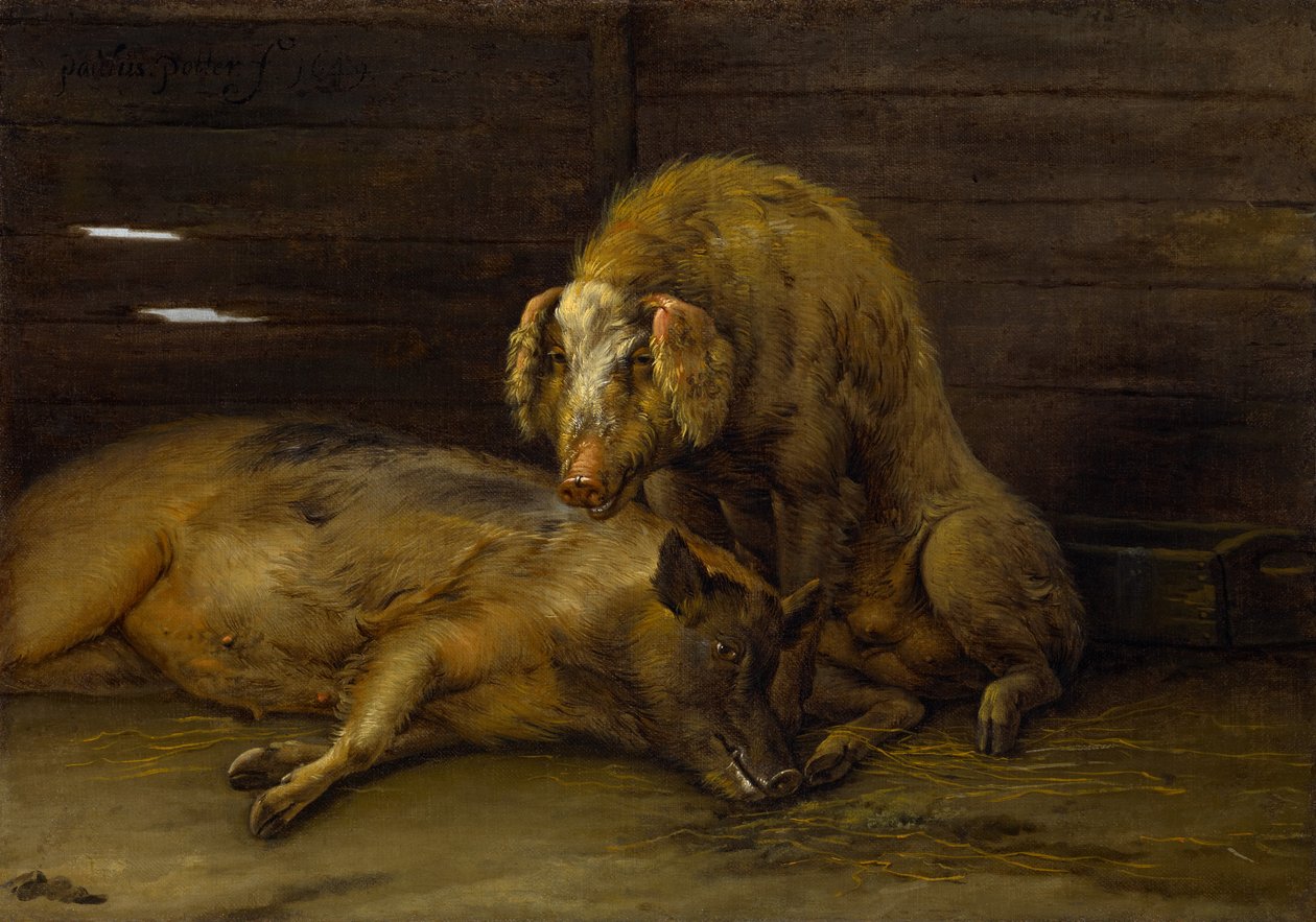 两只猪在猪圈，1649年 作者 保罗·波特