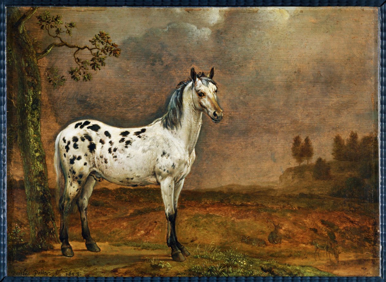 Le cheval pie - 斑驳的马... 作者 保卢斯 (attr.to) 波特