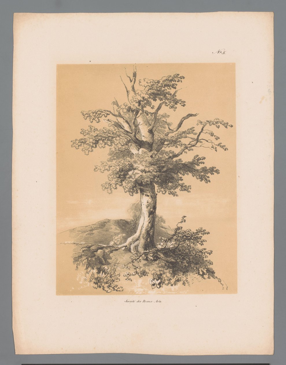树
保卢斯-劳特斯的风景画（系列标题）
保卢斯-劳特斯创作的 1839 年风景画（系列标题） 作者 保罗·劳特斯