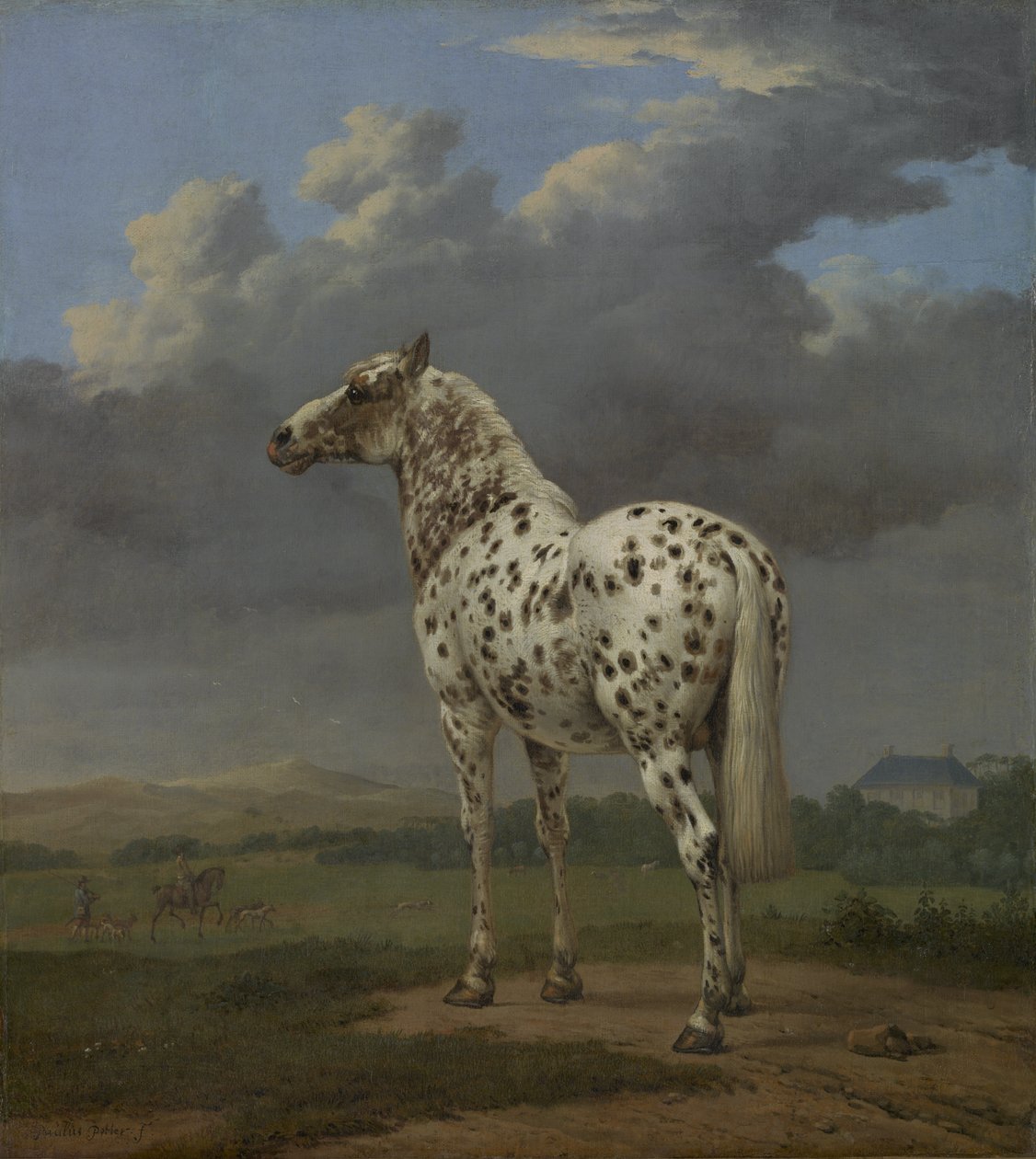 “ Piebald”马，c.1650-4（布面油画） 作者 保罗·波特