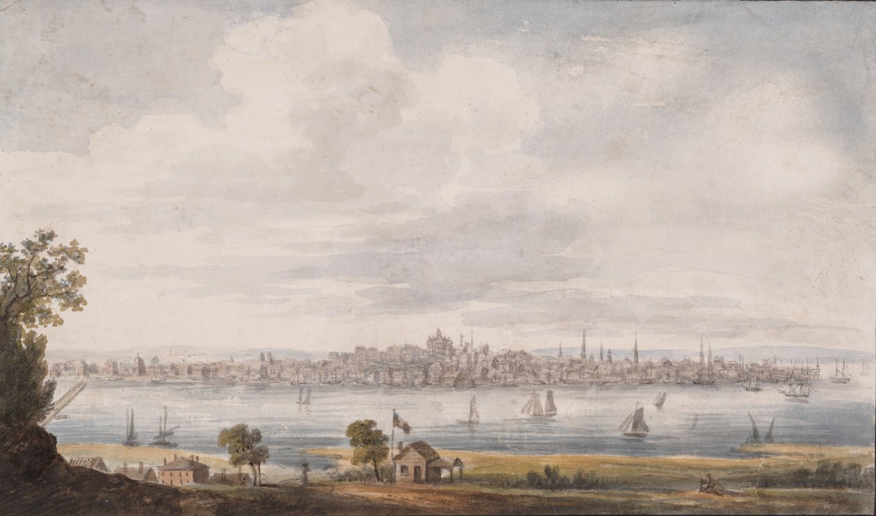 纽约州奥尔巴尼，1811-约1813年。 作者 帕维尔·彼得罗维奇·斯维因