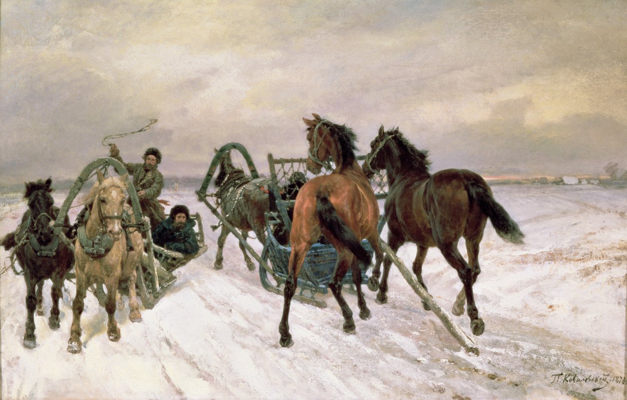 会议，1876年 作者 帕维尔·科瓦列夫斯基（Pavel Kowalewsky）