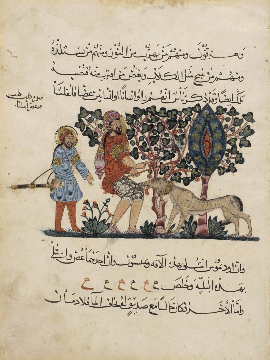 来自Dioscorides的Materia Medica阿拉伯语翻译的Folio 作者 佩达尼乌斯·迪奥斯科里德斯（Pedanius Dioscorides）