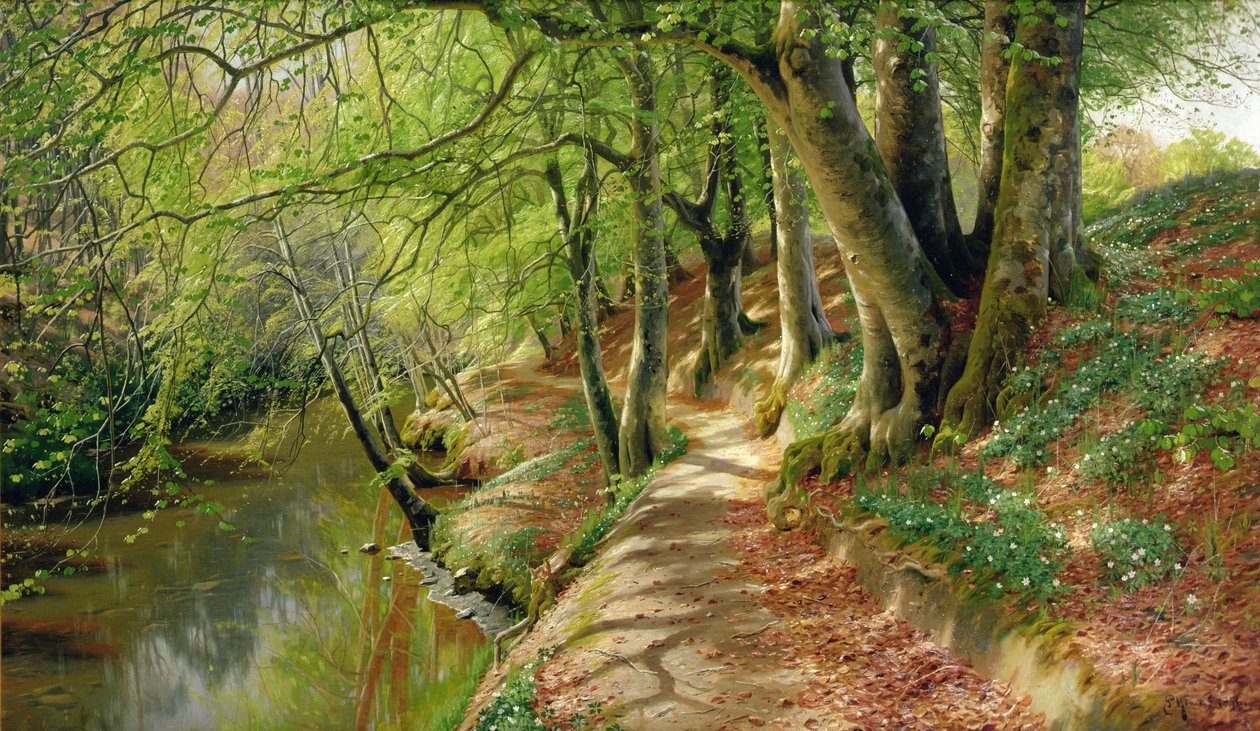 树木繁茂的河流风景（布面油画） 作者 佩德·蒙斯特