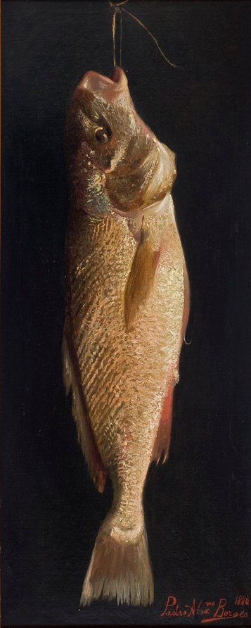 FishnPortugues：Pien 作者 佩德罗·亚历山德里诺·博尔赫斯