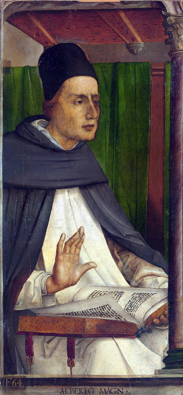 Saint Albert le Grand（1205-1280 年），（Albert Magnus , Albrecht von Bollstadt, Albert de Cologne）- Albertus Magnus par Berruguete, Pedro（1450-1503 年）。木板油画，尺寸：116x53，约 1473-1475 年，马尔凯国家美术馆，乌尔比诺。 作者 佩德罗·贝鲁格特