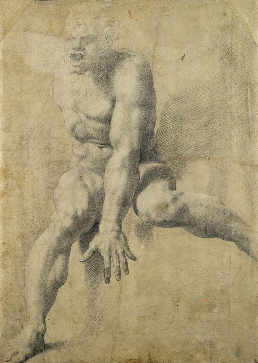 Polyphemus（纸上的黑色粉笔） 作者 佩莱格里诺（Pellegrino Tibaldi）