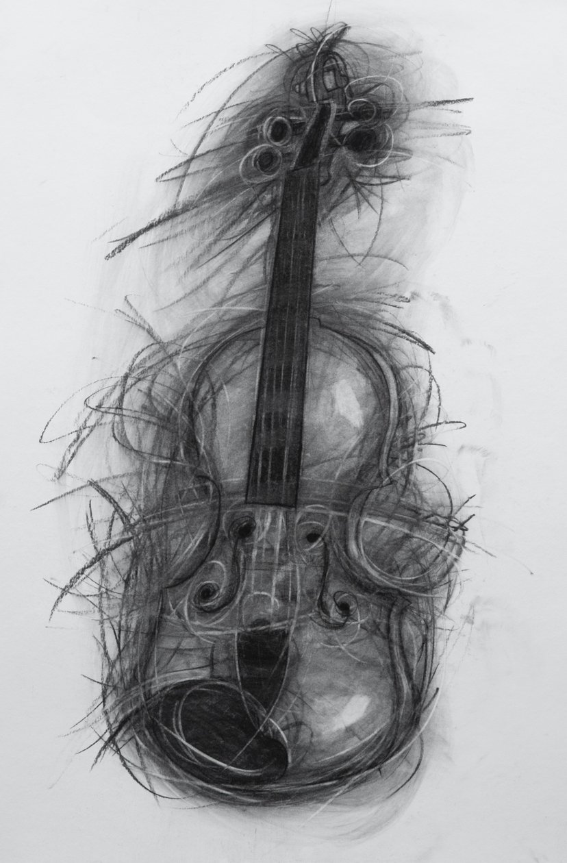 Violin, 2005 (charcoal on paper) 作者 潘妮·沃登（Penny Warden）