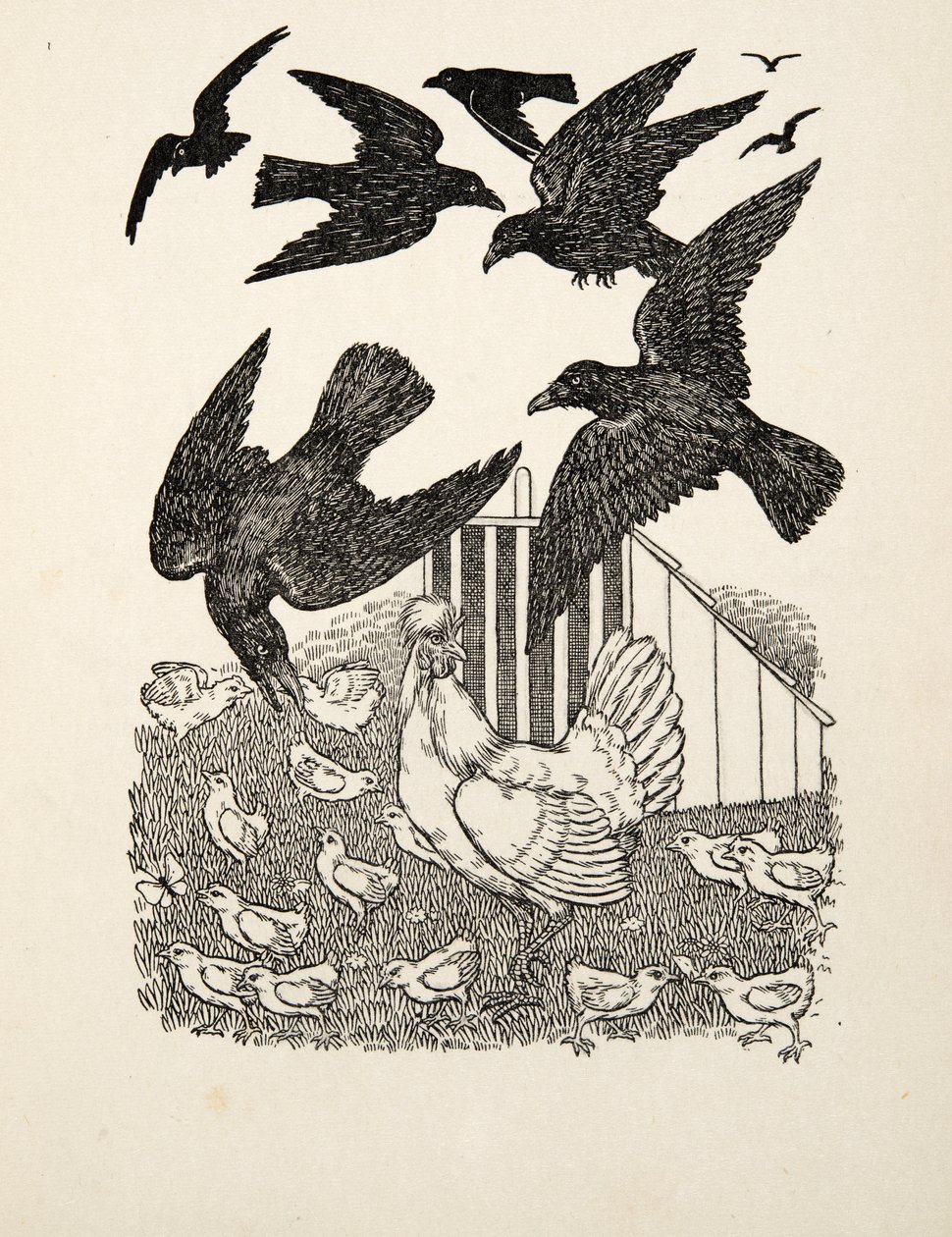 计算乌鸦，来自动物的一百个轶事，酒吧。 1924年 作者 珀西·比林斯赫斯特（Percy J.