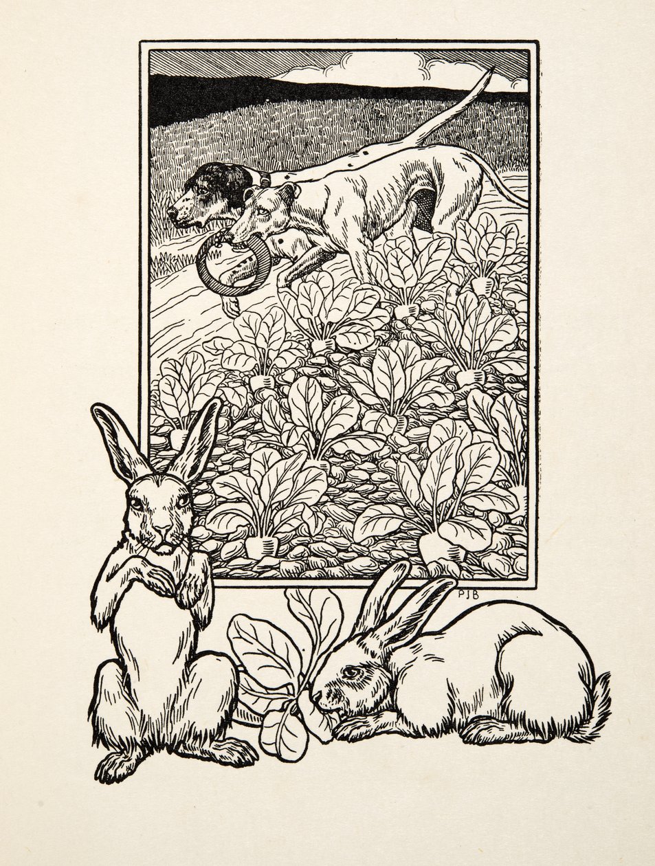一对狡猾的夫妇，来自动物的一百个轶事，酒吧。 1924年 作者 珀西·比林斯赫斯特（Percy J.