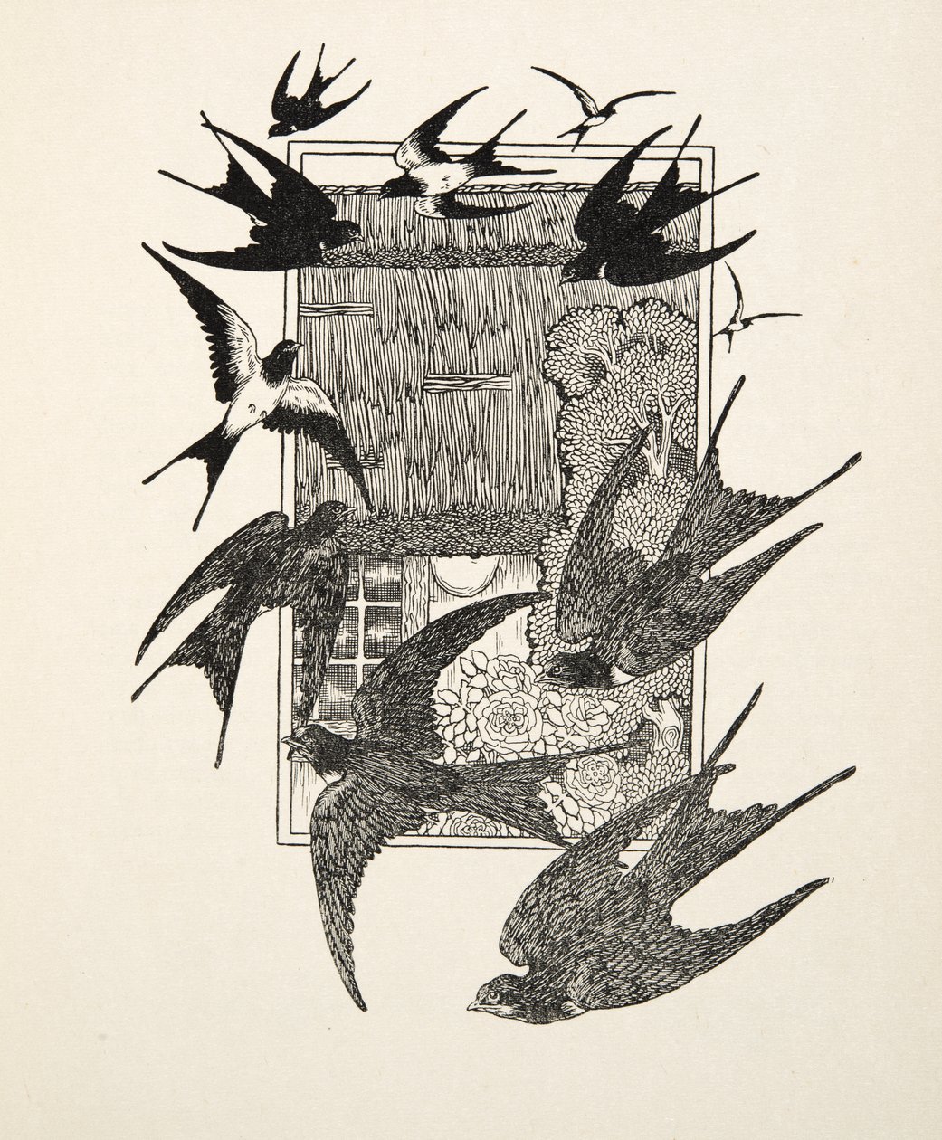 一个篡位者，从百动物的轶事，酒吧惩罚。 1924年 作者 珀西·比林斯赫斯特（Percy J.