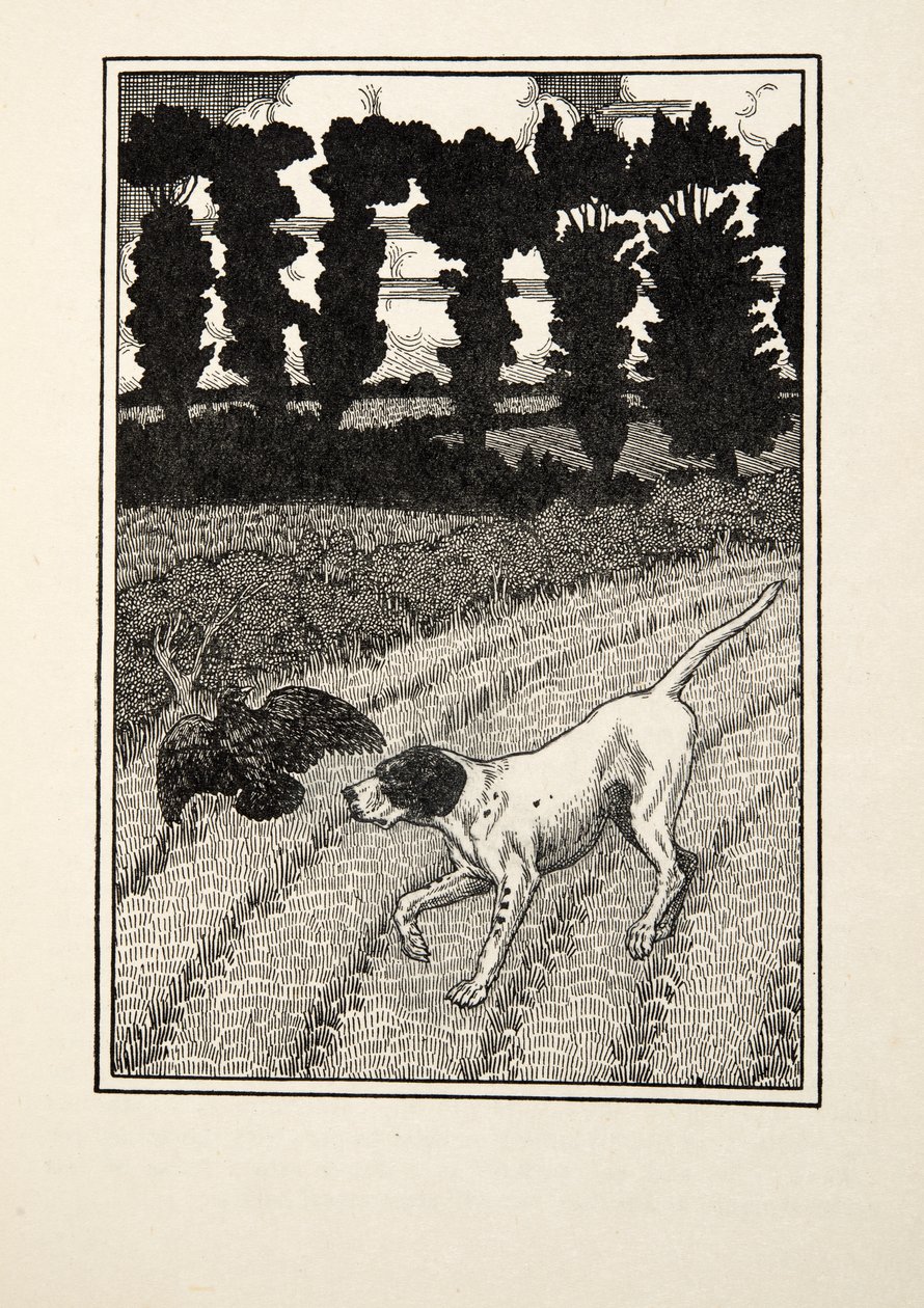 从动物的一百个轶事欺骗福勒，酒吧。 1924年 作者 珀西·比林斯赫斯特（Percy J.
