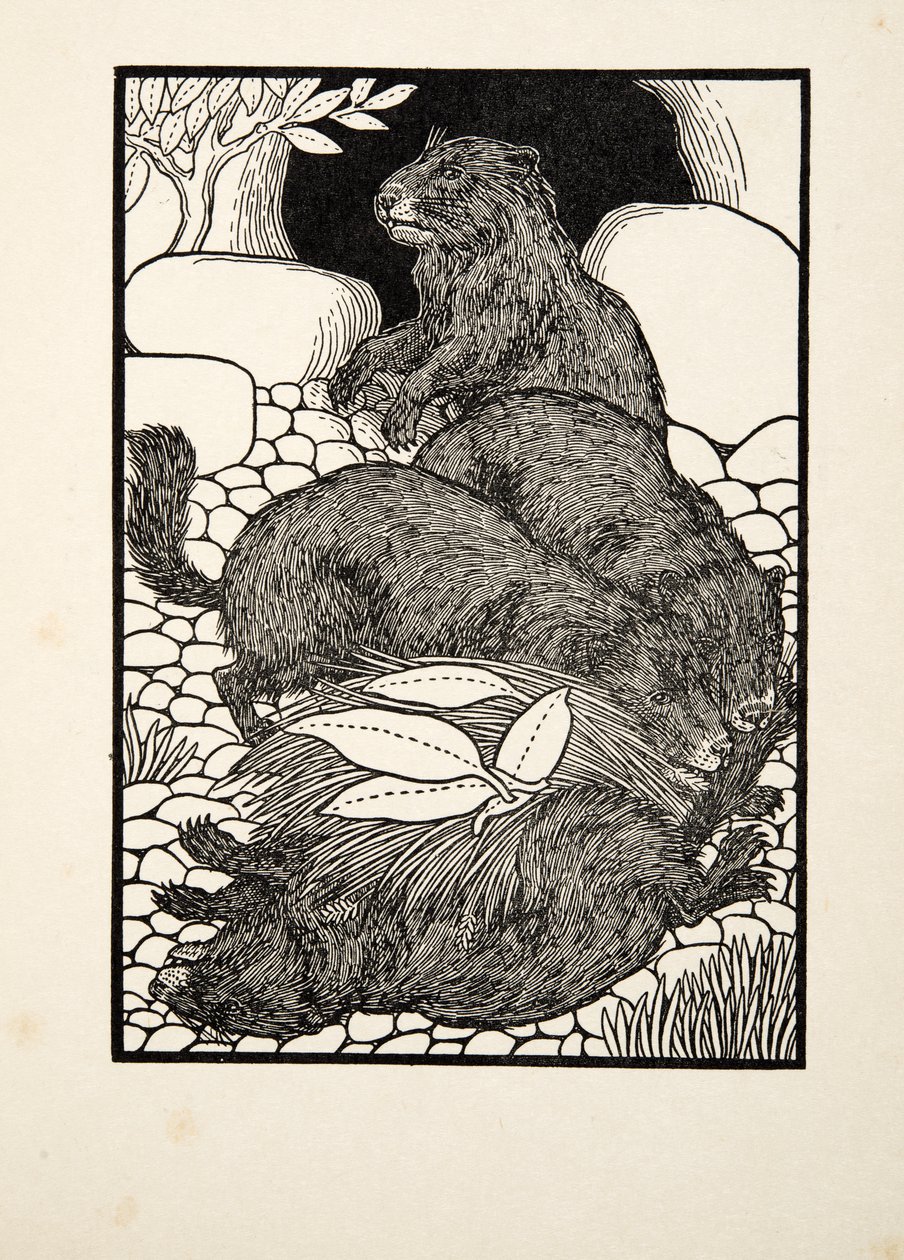 从动物的一百个轶事，酒吧分工。 1924年 作者 珀西·比林斯赫斯特（Percy J.
