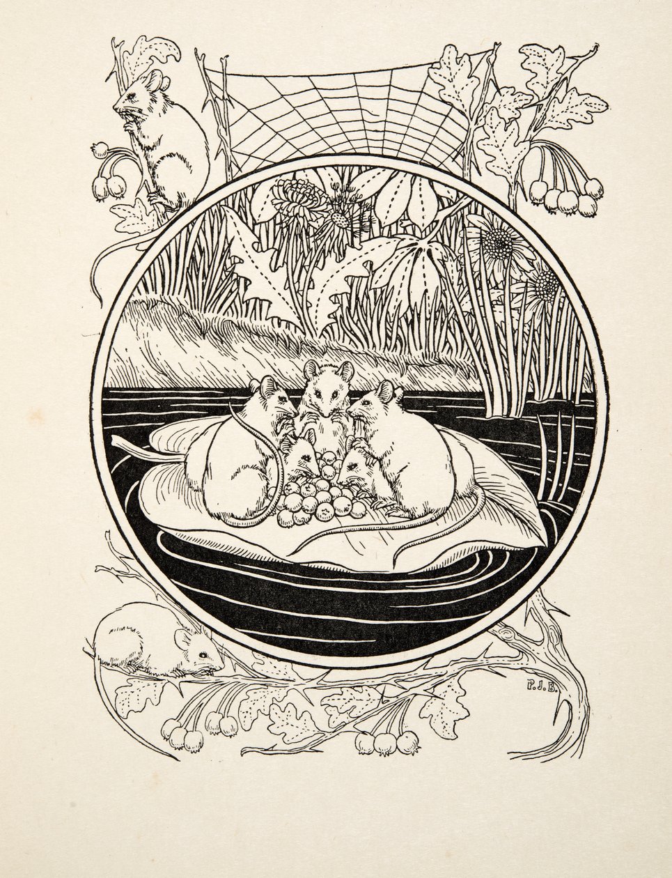 作为导航员的小鼠，来自动物的一百个轶事，酒吧。 1924年 作者 珀西·比林斯赫斯特（Percy J.