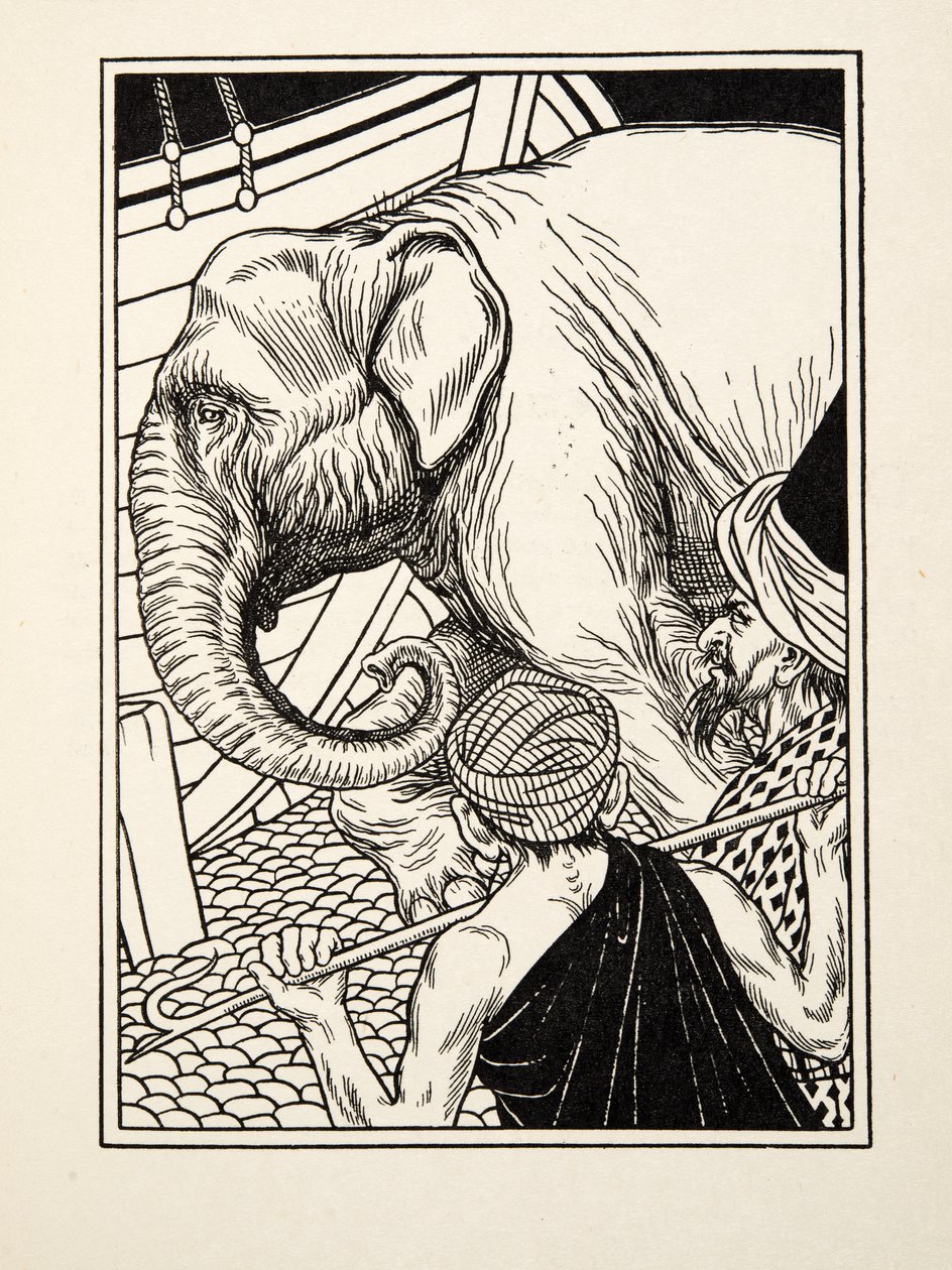 高贵的毅力，来自动物的一百个轶事，酒吧。 1924年 作者 珀西·比林斯赫斯特（Percy J.