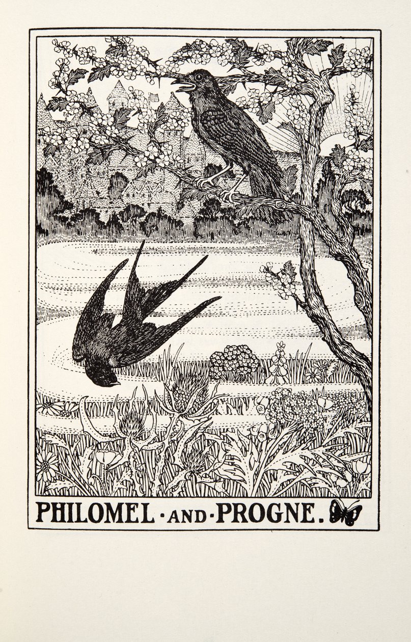 Philomel和Progne，来自Fontaine Fables，酒吧。 1905年 作者 珀西·比林斯赫斯特（Percy J.