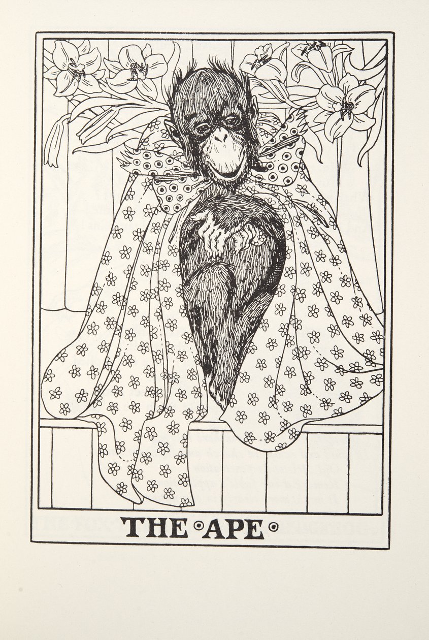 Ape，来自Fontaine Fables，酒吧。 1905年 作者 珀西·比林斯赫斯特（Percy J.
