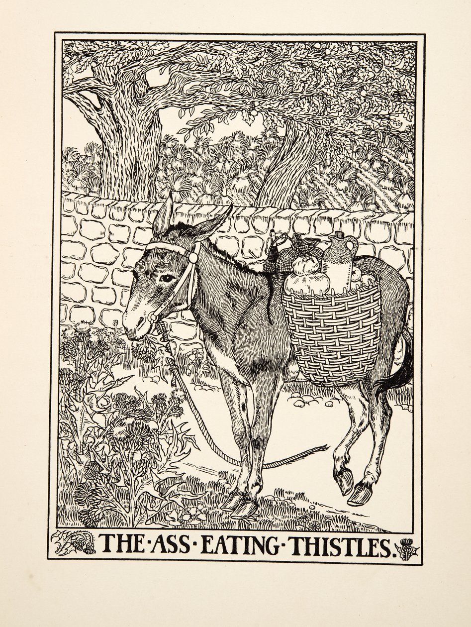 驴子吃蓟，来自阿索普的一百个寓言，pub.1903 作者 珀西·比林斯赫斯特（Percy J.