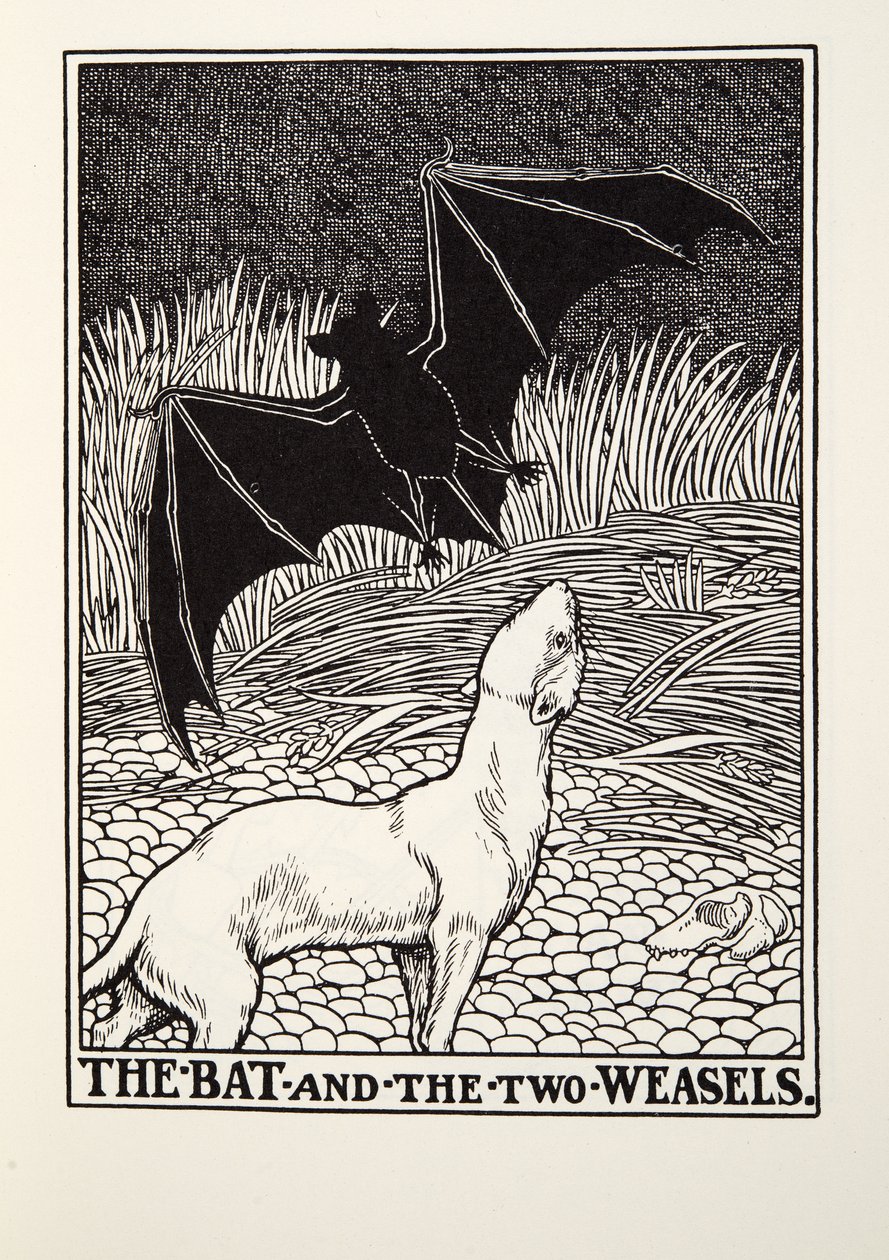 蝙蝠和两只黄鼠狼，来自Fontaine Fables，酒吧。 1905年 作者 珀西·比林斯赫斯特（Percy J.